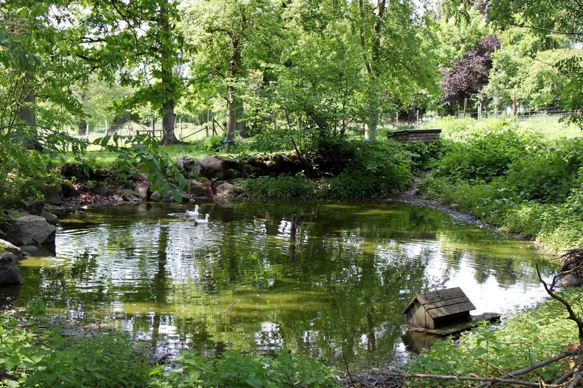 Ferienwohnung Auf Der Ruebenburg Barnsen Ngoại thất bức ảnh
